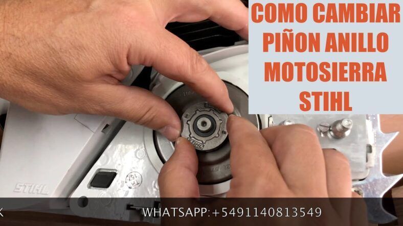 Cambiar piñón motosierra Stihl