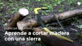 Cómo cortar troncos de forma eficiente con una sierra circular: consejos y técnicas