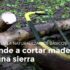 Afilador de cadena para motosierra Lidl: ¿Vale la pena comprarlo?