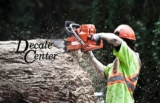 Comparativa: ¿Qué motosierra es mejor, Stihl o Husqvarna?