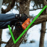 Consejos para elegir la mejor motosierra para podar olivos: guía completa