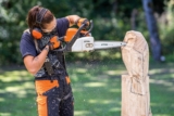Guía completa para el carving con motosierras: técnicas, consejos y herramientas