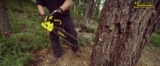 Guía completa para el corte de árboles con motosierra: técnicas, consejos y precauciones