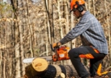 Todo lo que necesitas saber sobre el tronchacadenas para motosierras: guía de uso y consejos prácticos