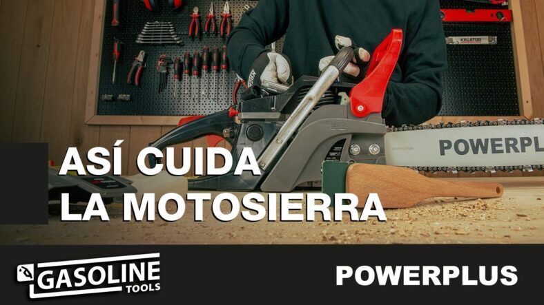 Carburador motosierra Powerplus