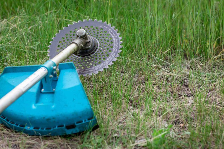 Disco triturador desbrozadora