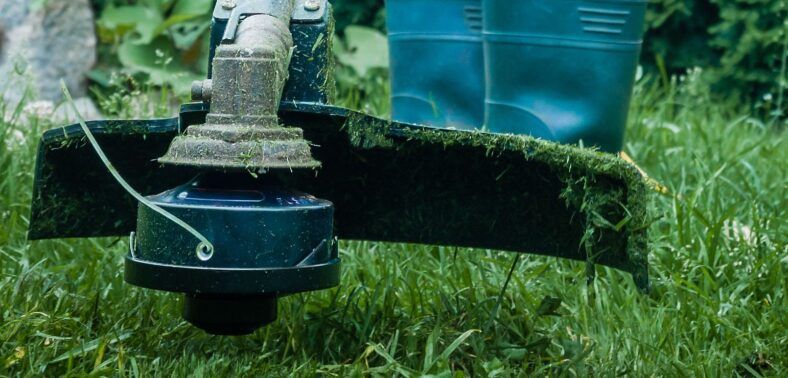 Hilo dentado desbrozadora